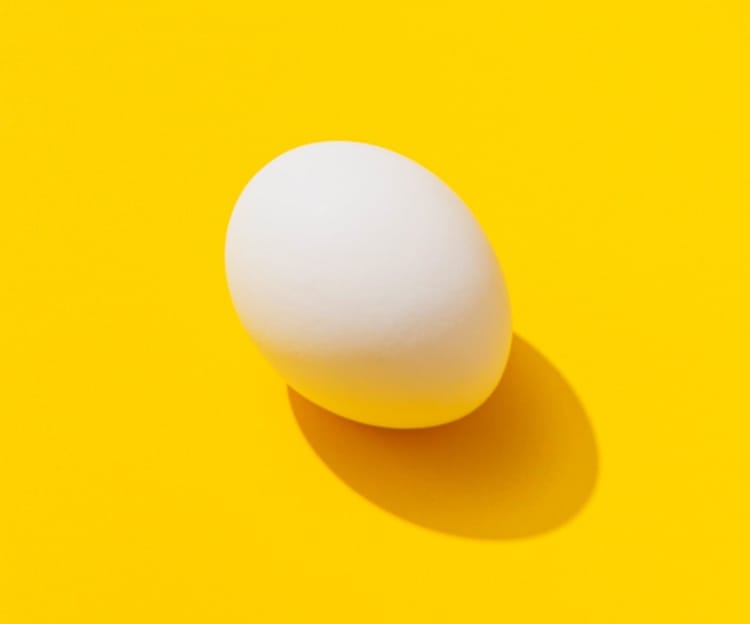 Photo of an egg